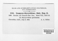 Image Associated With the Occurence
